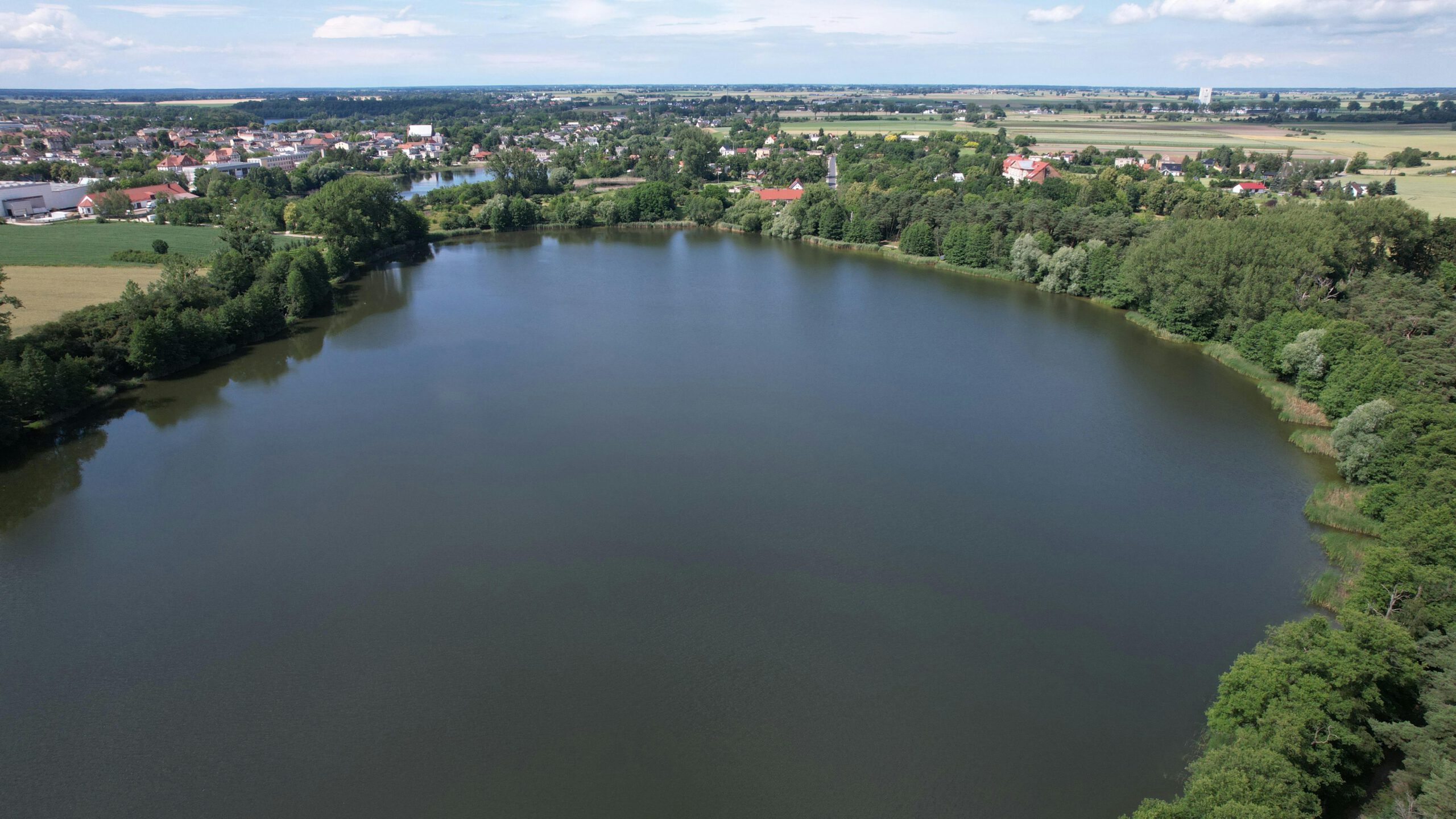 Kostenloses Stock Foto zu außerorts, bäume, biodiversität