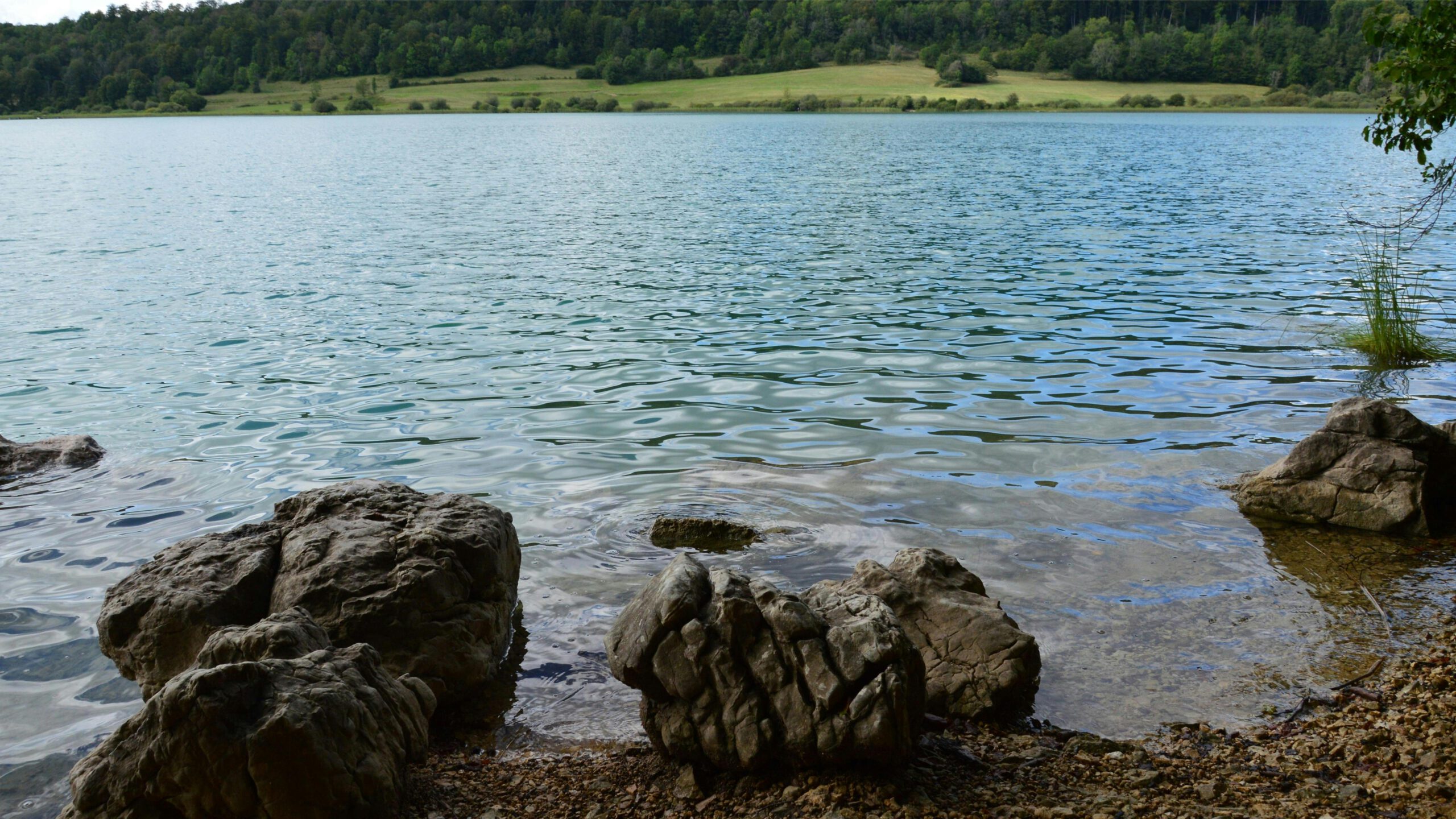 Kostenloses Stock Foto zu außerorts, bäume, Bourgogne-Franche-Comté