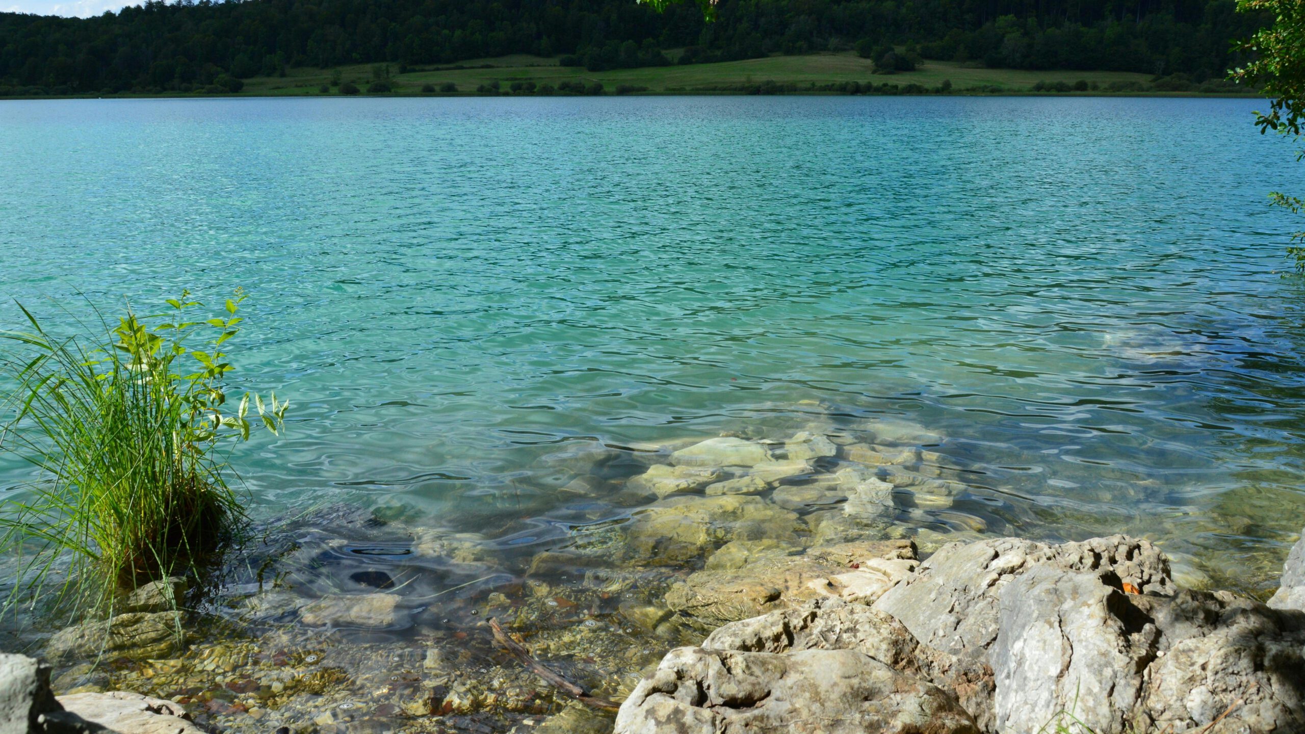 Kostenloses Stock Foto zu außerorts, belaubt, Bourgogne-Franche-Comté