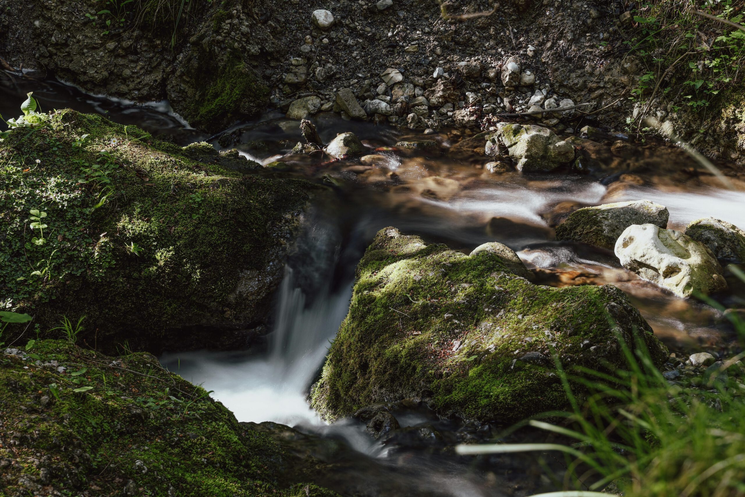 Kostenloses Stock Foto zu alps, bach, bayern