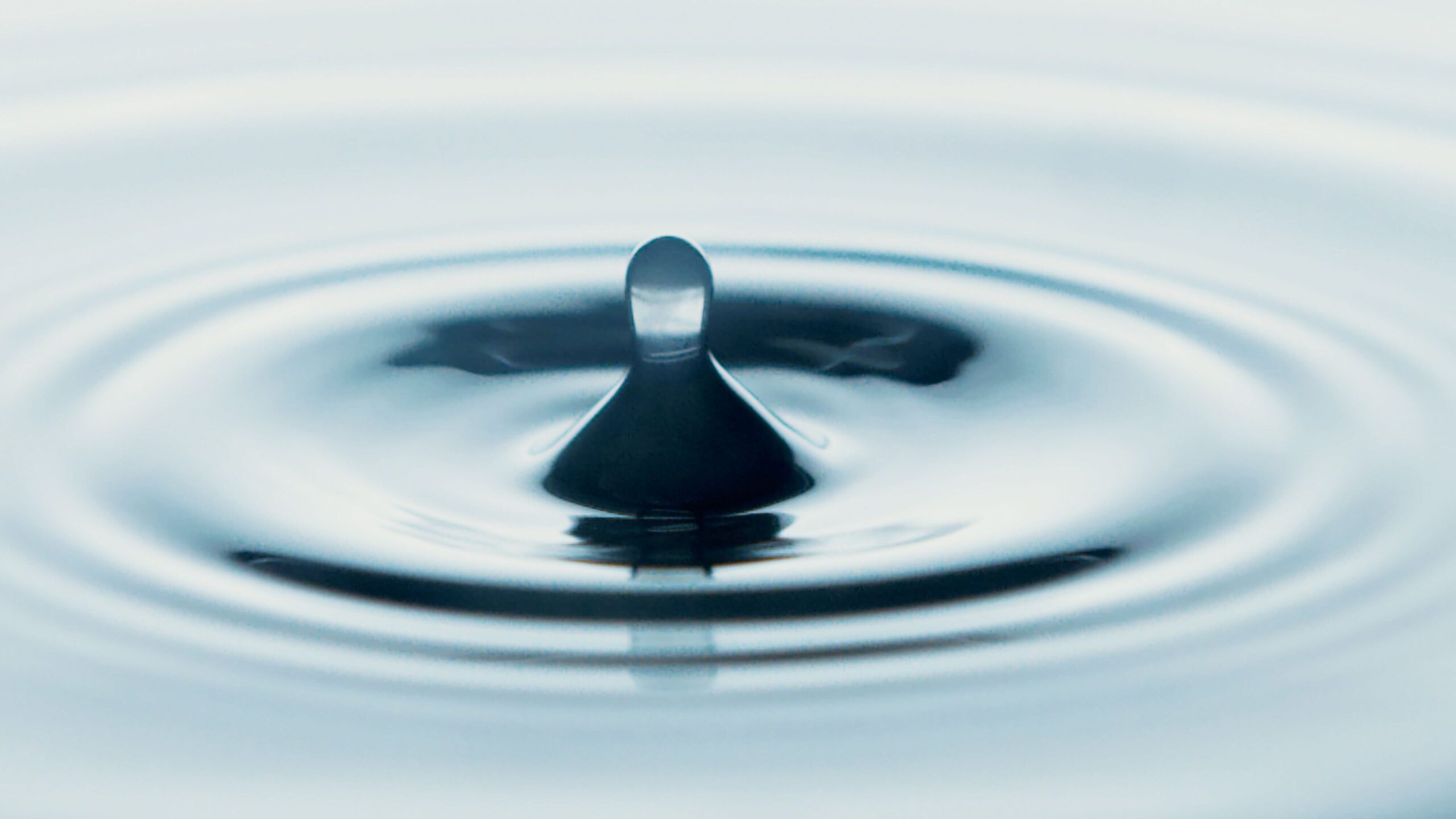 Wassertropfen In Der Nahaufnahmefotografie