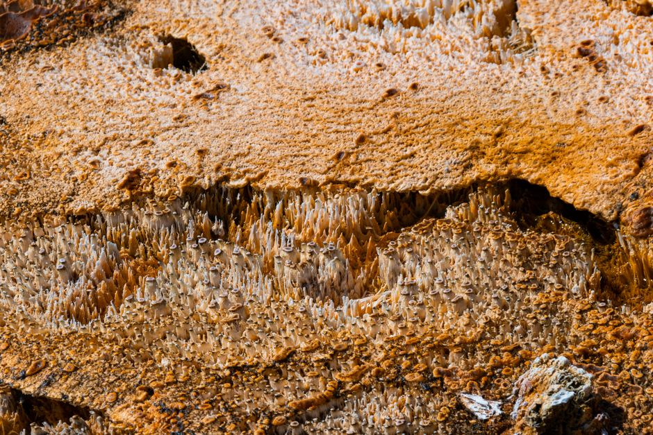 Sedimentfilter Aktivkohle Ionentauscher